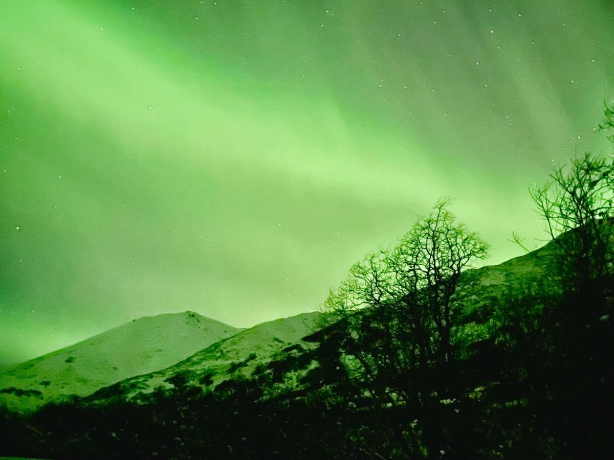 Beautiful And Comfy Palmer Gem Near Hatcher Pass Wasilla Exterior foto