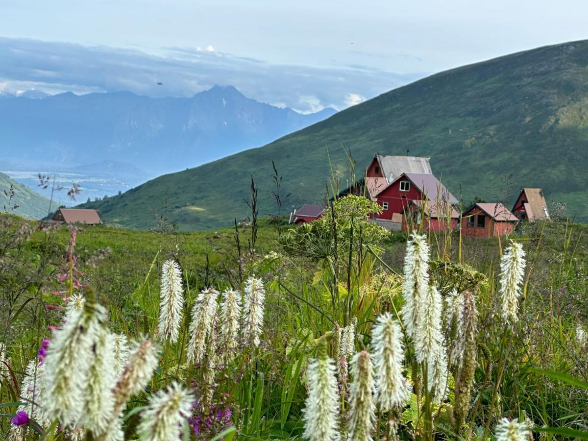 Beautiful And Comfy Palmer Gem Near Hatcher Pass Wasilla Exterior foto