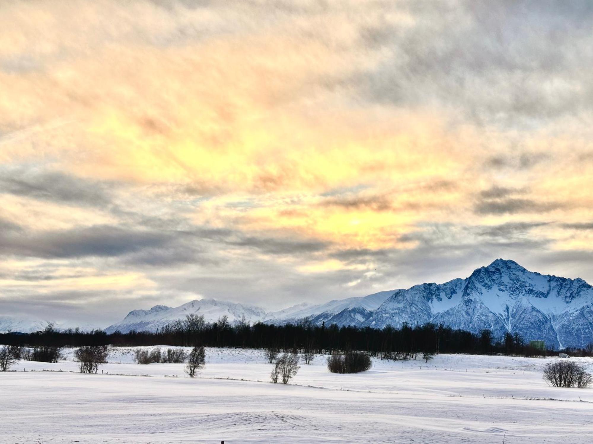 Beautiful And Comfy Palmer Gem Near Hatcher Pass Wasilla Exterior foto